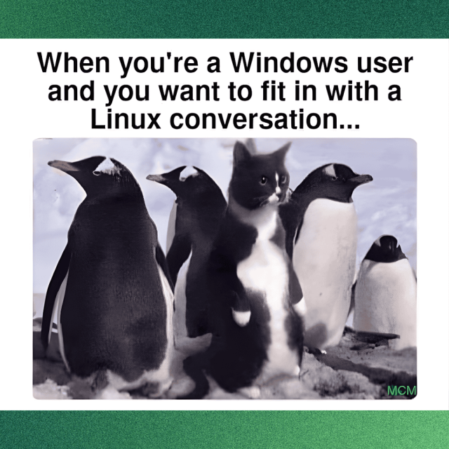When you're a Windows user and you want to slide into a Linux conversation.

There is a picture of a group of penguins with a tuxedo cat among them.