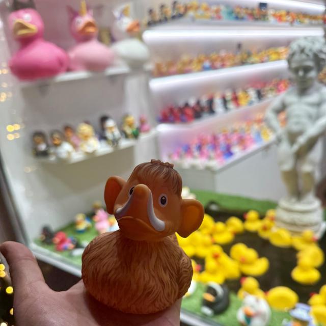 A hand holds a brown, mastodon-shaped rubber duck with large ears and tusks. In the background, a display features various colorful rubber ducks and small figurines, alongside a white statue.