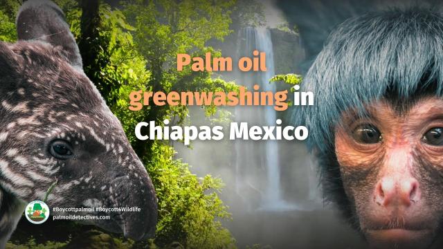 La Encrucijada Biosphere Reserve in #Mexico faces a looming threat. #Palmoil expansion putting both iconic and little known animals and plants at risk of #extinction. Resist when you shop #Boycottpalmoil #Boycott4Wildlife via @palmoildetect @Avispa_Midia https://wp.me/pcFhgU-71E?utm_source=mastodon&utm_medium=Palm+Oil+Detectives&utm_campaign=publer 