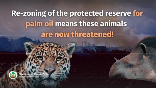 La Encrucijada Biosphere Reserve in #Mexico faces a looming threat. #Palmoil expansion putting both iconic and little known animals and plants at risk of #extinction. Resist when you shop #Boycottpalmoil #Boycott4Wildlife via @palmoildetect @Avispa_Midia https://wp.me/pcFhgU-71E?utm_source=mastodon&utm_medium=Palm+Oil+Detectives&utm_campaign=publer 
