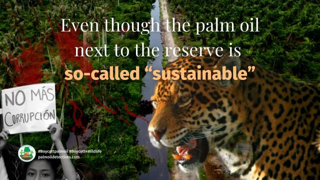 La Encrucijada Biosphere Reserve in #Mexico faces a looming threat. #Palmoil expansion putting both iconic and little known animals and plants at risk of #extinction. Resist when you shop #Boycottpalmoil #Boycott4Wildlife via @palmoildetect @Avispa_Midia https://wp.me/pcFhgU-71E?utm_source=mastodon&utm_medium=Palm+Oil+Detectives&utm_campaign=publer 