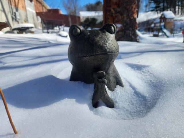 Statue of buddha frog partially covered in fresh white snow.