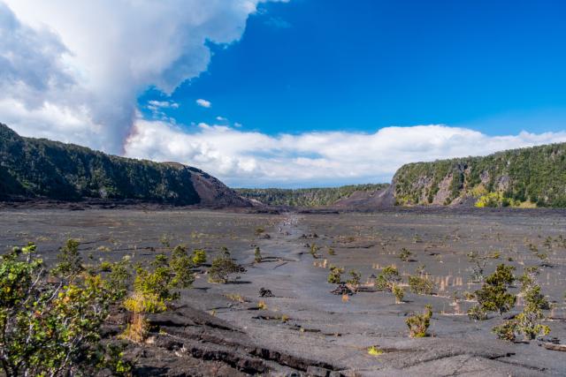 A pathway worn through dark rock, with bright green shrubs to either side. [Fuji X-T5 / Tamron 18-300]