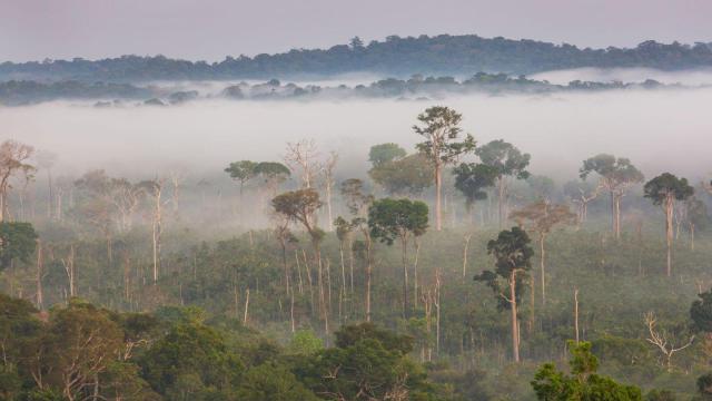 #News: Ancient Amazonians lived in harmony with forests for millennia 🧐🌳 Research finds Indigenous-led systems thrived using canals and diverse diets. We MUST learn their ancient wisdom or face our own destruction 🌴☠️🚫 #Archaeology  #BoycottPalmOil https://connectsci.au/news/news-parent/7103/How-Indigenous-peoples-lived-in-the-southwestern?searchresult=1&utm_source=mastodon&utm_medium=Palm+Oil+Detectives&utm_campaign=publer