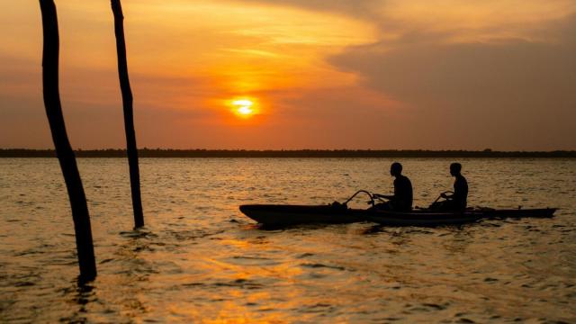 #News: Ancient Amazonians lived in harmony with forests for millennia 🧐🌳 Research finds Indigenous-led systems thrived using canals and diverse diets. We MUST learn their ancient wisdom or face our own destruction 🌴☠️🚫 #Archaeology  #BoycottPalmOil https://connectsci.au/news/news-parent/7103/How-Indigenous-peoples-lived-in-the-southwestern?searchresult=1&utm_source=mastodon&utm_medium=Palm+Oil+Detectives&utm_campaign=publer