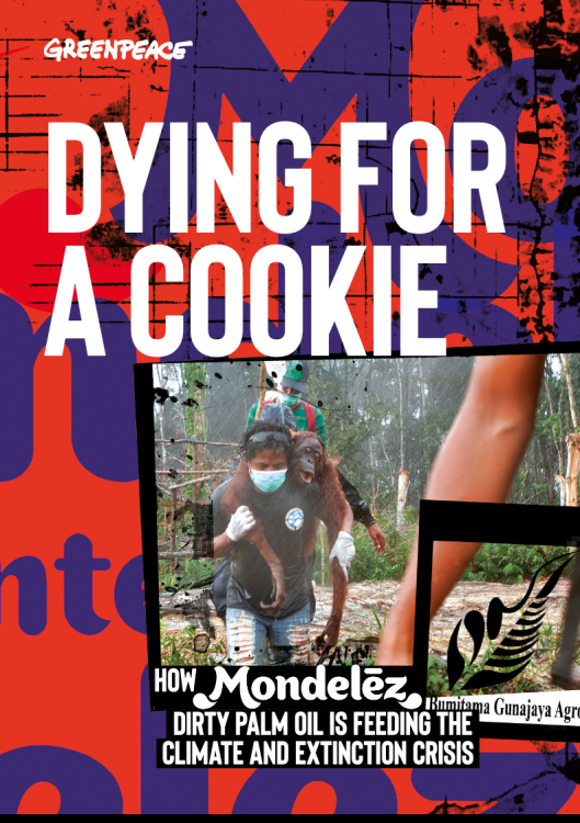 Dying for a cookie: How Mondelez's Dirty Palm Oil is feeding the climate and extinction crisis by Greenpeace (2019)