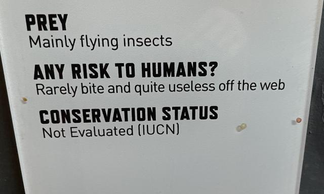 A photo of a zoo exhibit. It lists that the animal’s prey is “mainly flying insects” but below that is the focal point of the photo. The sign risks this animal’s risk to humans as “Rarely bite and quite useless off the web”. 

The animal described is not listed in the photo, but it’s a large spider in the London Zoo’s walkthrough spider enclosure. 