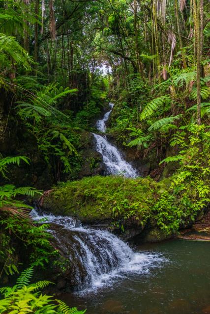 A long waterfall runs down through greenery toward the camera. [Fuji X-T5 / Tamron 18-300]