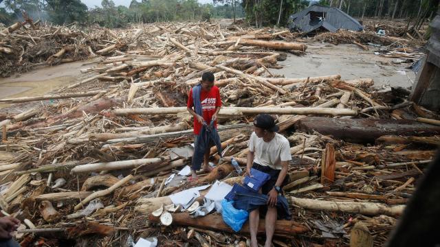 #News: #Palmoil #Deforestation is drowning Sumatra! 🧐🌊 Palm oil and mining have destroyed the forest "sponge," turning storms into deadly floods. We must stop corporate #landgrabbing #greed before the next tragedy! 🌴☠️🚫 #BoycottPalmOil @palmoildetect.bsky.social https://theconversation.com/sumatras-flood-crisis-how-deforestation-turned-a-cyclonic-storm-into-a-likely-recurring-tragedy-271302?utm_source=mastodon&utm_medium=Palm+Oil+Detectives&utm_campaign=publer