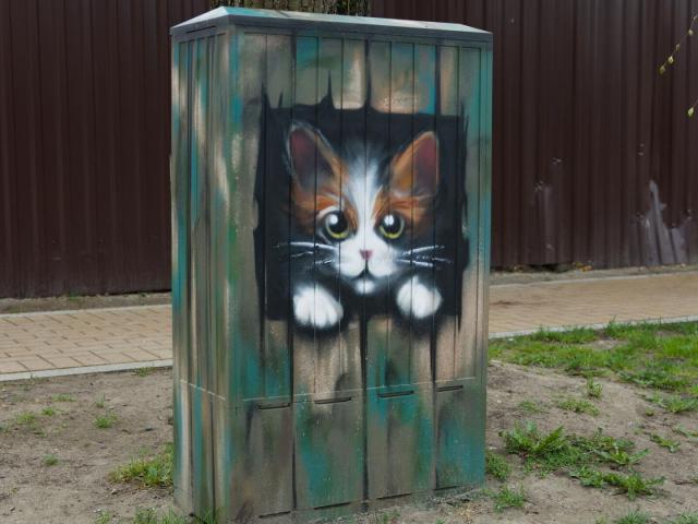 The image shows an electric box painted with a cat's face, including its eyes and nose. The cat appears to be peeking out from the hole in painted wooden fence, giving it an airy and curious look. The box is situated on a grassy area next to a sidewalk, adding a touch of whimsy to the scene. In the background, there are trees visible, providing a natural backdrop for this artistic display.