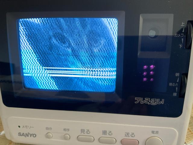 its babka, decoding on a picture phone set, but its a bit noisy and out of sync, so his image has some static and horizontal drift, and a few lines that are full bright. it brings to mind the intro of the game myst =^^=