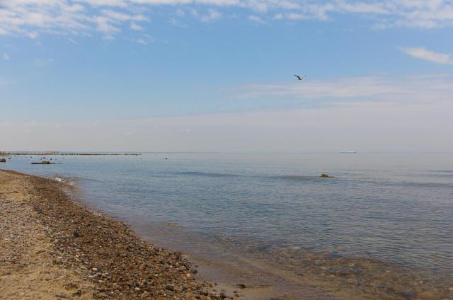 The image depicts a serene beach scene with light brown sand and clear blue water. A few small rocks are scattered along the shoreline, adding texture to the landscape. In the distance, there is a pier extending into the water, providing a sense of depth and perspective. The sky above is mostly clear, with only a few clouds and a gull visible in the background.