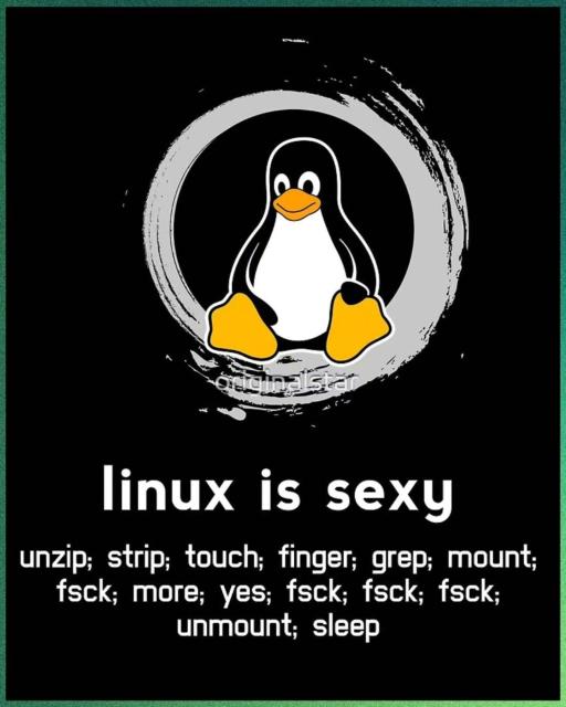 In this black-colored picture, there is a picture of Tux, the mascot penguin of Linux, on top, with the following written below:

linux is sexy

unzip; strip; touch; finger; grep; mount; fsck; more; yes; fsck; (3 times), unmount; sleep