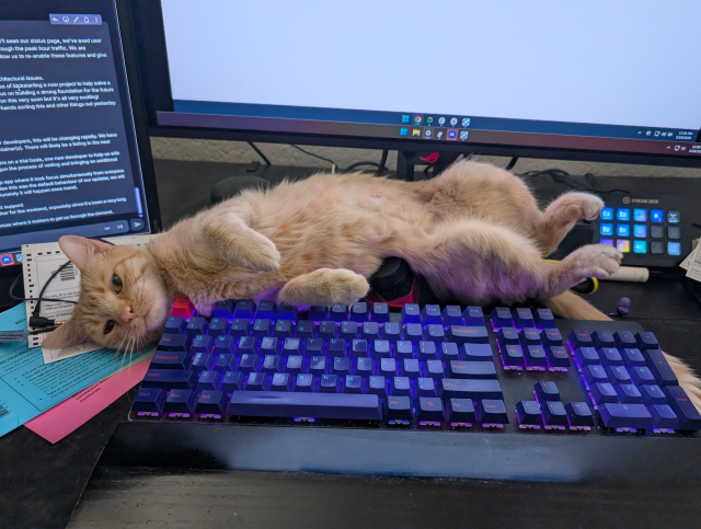 Orange cat laying upside down, just above a keyboard.