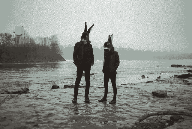 Two rabbits in their natural habitat, crappy god damn weather.