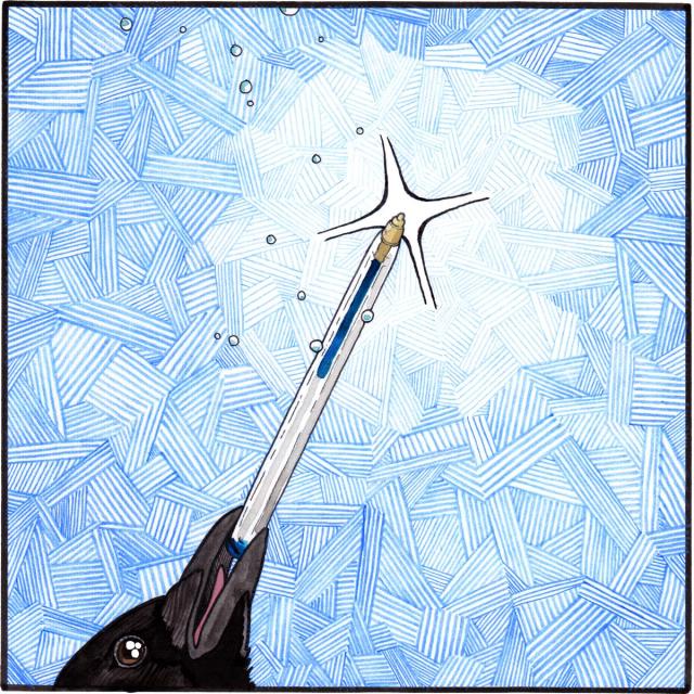 The thing is revealed to be a blue bic pen. The crow holds it triumphantly above its head. There is a magic light emanating from the pen which is creating a blue crosshatching effect on the sky.