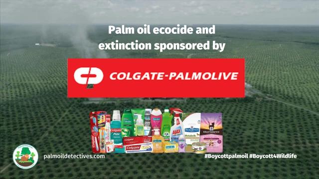 Famed #toothpaste maker #Colgate-Palmolive uses so-called “sustainable” #palmoil yet continue buying #deforestation and ecocide. Tell them you don’t want dirty palm oil and #BoycottPalmOIl 🦧😿🌴⛔️ #Boycott4Wildlife @palmoildetect.bsky.social https://palmoildetectives.com/2021/02/09/colgate-palmolive/?utm_source=mastodon&utm_medium=Palm+Oil+Detectives&utm_campaign=publer
