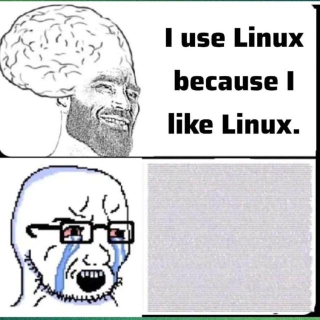 Big brain moment (shows a person with a big as f*ck brain): I use Linux because I like Linux.

Complainy moment (shows a angry crying person wearing spectacles): A wall of text that is too advanced for humanity to gauge without  the power of quantum computing.
