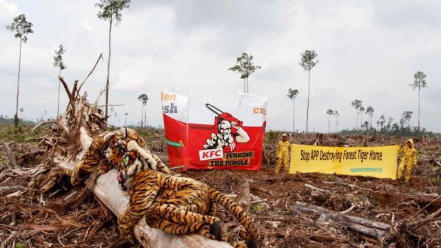 #News: #Palmoil industry is using cartoons to #greenwash youth! 🧐🤮 While they promote #MyPalmPride campaigns, #deforestation continues to destroy forests and kill endangered species.  🌴☠️🚫 #BoycottPalmOil #Boycott4wildlife @palmoildetect.bsky.social https://theedgemalaysia.com/node/788046?utm_source=mastodon&utm_medium=Palm+Oil+Detectives&utm_campaign=publer
