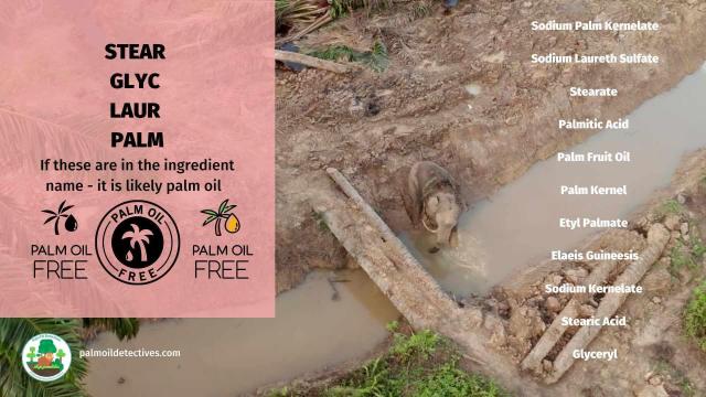 How much of your #skincare 🫧🧼😶‍🌫️ routine contains #palmoil? If you brands like #Aveeno Johnson and Johnson and #Olay you’re lathering #ecocide onto your face. Instead go #PalmOilFree 💡 and #BoycottPalmOil #Boycott4Wildlife 🌴🪔🩸🤢🔥🚫 @palmoildetect.bsky.social https://palmoildetectives.com/2021/02/11/palm-oil-free-skincare-products/?utm_source=mastodon&utm_medium=Palm+Oil+Detectives&utm_campaign=publer
