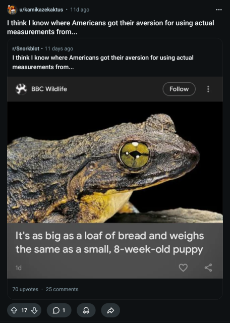 A frog pictured on a BBC Wildlife post, captioned "it's big as a loaf of bread and weighs the same as a small 8 week old puppy"