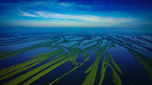 #News: #Deforestation slowed in 2025, but rainforests are still in crisis! 🧐🔥 Fire, drought, and corruption destroy #forests in hidden ways. We need strong action! 🌴☠️🚫 #BoycottPalmOil #ClimateChange #Boycott4Wildlife @palmoildetect.bsky.social https://news.mongabay.com/2025/12/the-year-in-rainforests-2025-deforestation-fell-the-risks-did-not/?utm_source=mastodon&utm_medium=Palm+Oil+Detectives&utm_campaign=publer