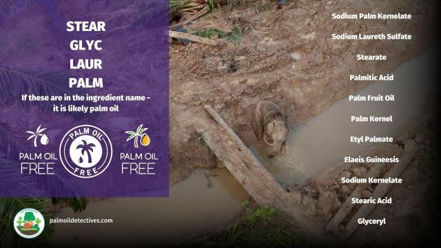 Wash your hands knowing you’re not using #palmoil 🧐🫧 ALL PALM OIL is linked to #ecocide and #deforestation. “Sustainable” palm oil is a big fat greasy #greenwashing lie. Go #PalmOilFree and #BoycottPalmOil 🌴🩸☠️💩💰🚜🔥🚫#Boycott4Wildlife @palmoildetect.bsky.social https://palmoildetectives.com/2021/02/11/palm-oil-free-soap/?utm_source=mastodon&utm_medium=Palm+Oil+Detectives&utm_campaign=publer
