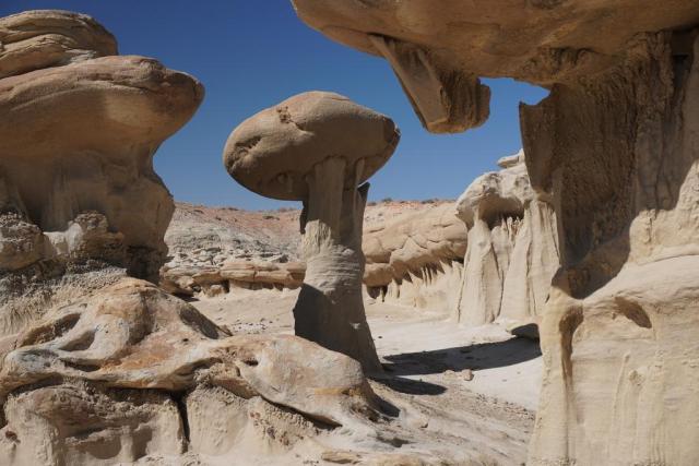 Looking out from under a rock ledge at a spectacular sandstone hoodoo. It has a trunk like a tree, off-white sandstone, maybe three feet in diameter at the base tapering to a little over 2' in the middle, then fanning out at the top into "fingers" that look a little like an elephant's foot. Balanced on top of the fingers is a huge rounded boulder of somewhat yellow and harder-looking sandstone. The balanced boulder is distinctly off center, looking like it should fall. The hoodoo is in a depression surrounded by layers of the same sort of stone -- crumbly looking off-white sandstone topped with harder yellower sandstone -- all weathered in a way that suggests that it's all in the process of becoming similar hoodoos. The overhang over the camera has a piece of the crumbly stone hanging from the top, a trapezoid of maybe 2-3' and about a foot thick, again looking like it should have fallen years ago. The sky is blue and cloudless.