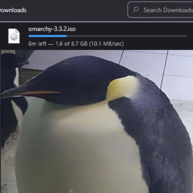 A Firefox downloader window is shown above, with the ISO image for Omarchy 3.3.2 being downloaded.

Below is a picture of a wide as fu*k penguin.