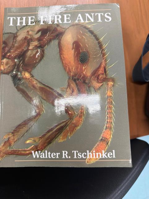 “The Fire Ants” a huge book by Walter Tschinkel 