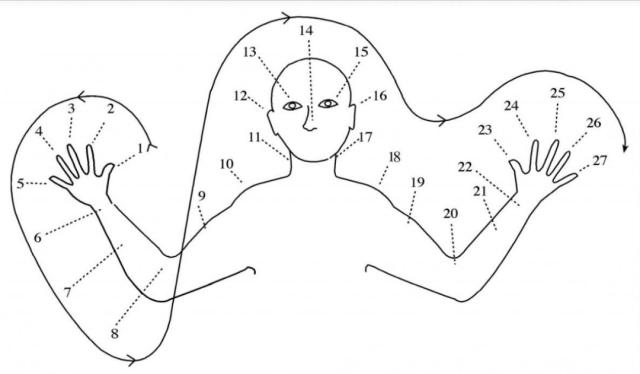 body loops of diagram