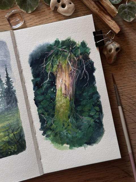 A photo of an open sketchbook, placed on a wooden desk and surrounded by a paint brush, hag stones, palo santo, a crystal, and leaves. The sketchbook page features a gouache painting of the same fallen, mossy tree as in the previous photo, but in a lush environment, the background dark and shady, with the sunlight illuminating only the tree trunk.