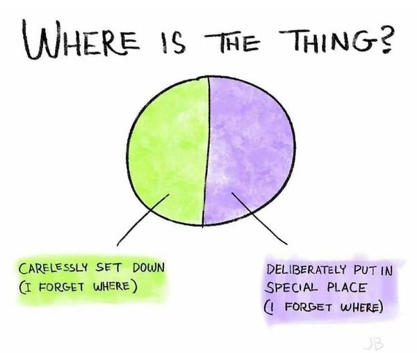 Diagram titled WHERE IS THE THING? with two halves green and purple

green: CARELESSLY SET DOWN 
(I FORGET WHERE)

purple: DELIBERATELY PUT IN SPECIAL PLACE 
(I FORGET WHERE)
