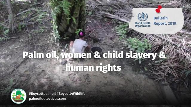 Today is #InternationalWomensDay #IWD "In #Indonesia 🇮🇩 4 million women👰🧐 work in the #palmoil industry. Children of workers have 🧺🫃 poor maternal #health, poor #nutrition, little education access.": #WHO  🌴⛔️  #BoycottPalmOil  https://palmoildetectives.com/2022/08/08/palm-oil-industry-lobbying-and-greenwashing-is-like-big-tobacco-world-health-organisation-who-bulletin/?utm_source=mastodon&utm_medium=Palm+Oil+Detectives&utm_campaign=publer
