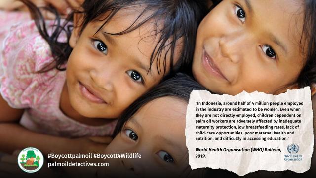 Today is #InternationalWomensDay #IWD "In #Indonesia 🇮🇩 4 million people 👰🧐 work in the #palmoil industry. Children of workers have 🧺🫃 poor maternal #health, poor #nutrition, little education access.": #WHO  🌴⛔️  #BoycottPalmOil  https://palmoildetectives.com/2022/08/08/palm-oil-industry-lobbying-and-greenwashing-is-like-big-tobacco-world-health-organisation-who-bulletin/?utm_source=mastodon&utm_medium=Palm+Oil+Detectives&utm_campaign=publer
