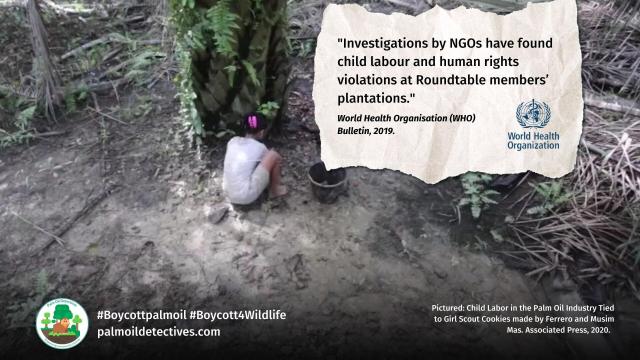 Today is #InternationalWomensDay #IWD "In #Indonesia 🇮🇩 4 million people 👰🧐 work in the #palmoil industry. Children of workers have 🧺🫃 poor maternal #health, poor #nutrition, little education access.": #WHO  🌴⛔️  #BoycottPalmOil  https://palmoildetectives.com/2022/08/08/palm-oil-industry-lobbying-and-greenwashing-is-like-big-tobacco-world-health-organisation-who-bulletin/?utm_source=mastodon&utm_medium=Palm+Oil+Detectives&utm_campaign=publer
