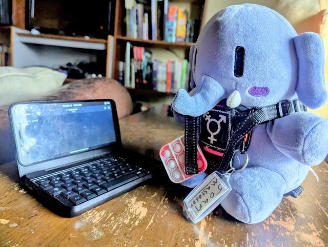 vanta rainbow black's mini blue mastodon plushie Joan Mastodon in her usual trans autism vest in front of a pinephone with keyboard case attachment