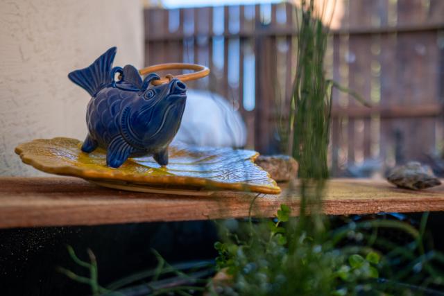 A ceramic fish prepares to barf water onto a plant. [Fuji X-T5 / Fuji 23 1.4]