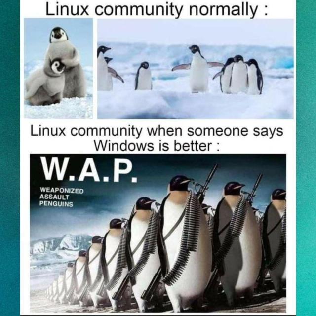 Linux community normally:

Picture of cute Penguins messing about.

Linux community when someone says Windows is better:

Picture of a highly specialized unit called W.A.P.-Weaponized Assault Penguins is shown here, and they are heavily armed (they have flippers to carry them).
