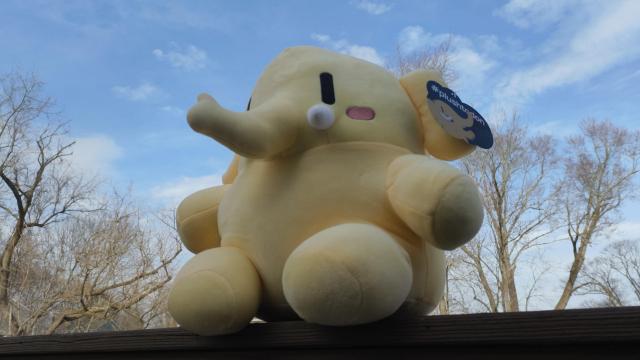 A yellow Mastodon plush sits on brown wood with trees and the sky in the background