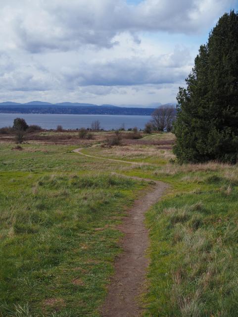  A dirt path winding through low grasses to a bluff overlooking a body of water, beyond which there are mountains under low grey clouds.   March 10, 2026