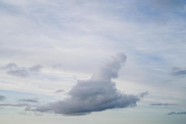 A big cloud with a weird shape drifts by.