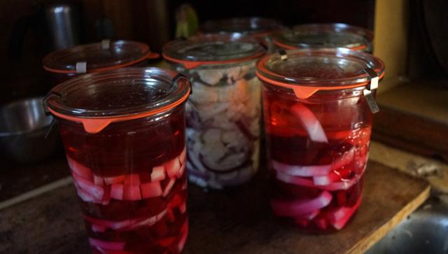 some weck jars with some new ferments in them: turnips and beets, and cauliflower and red onion.