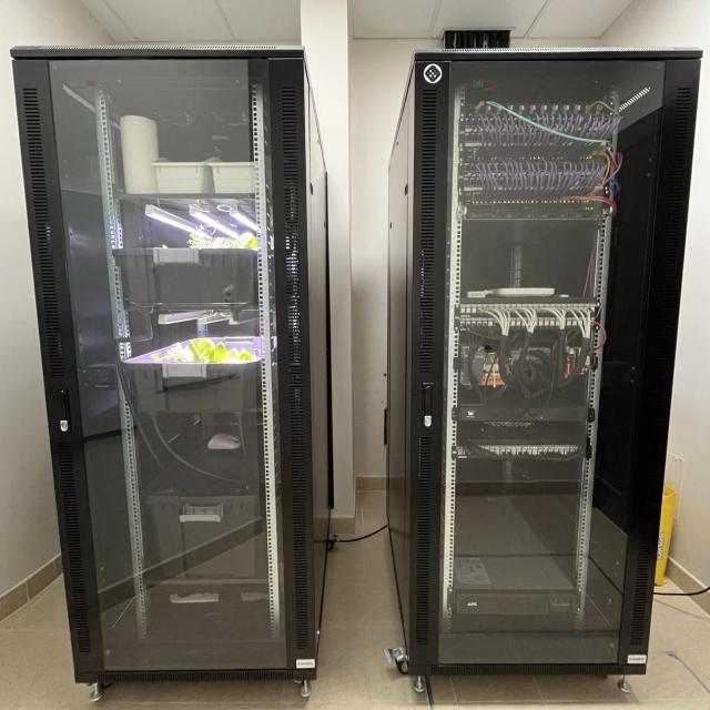 two server cabinets side by side, one has regular switches and equipment, the other two trays of lettuce