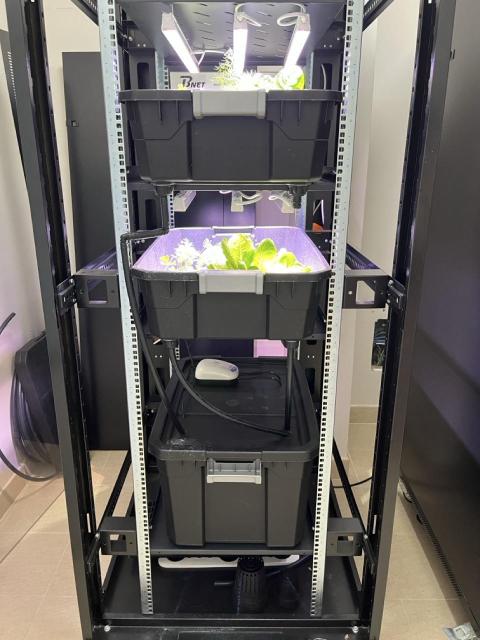 front view of the rack