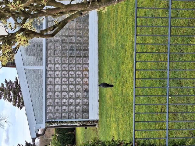 Ein Vorgarten hinter einem Mezallzaun. Kurzer Rasen und dahinter ein Bau mit einer Mauer aus Glas-Bausteinen. Auf dem Rasen steht ein Plastikrabe um Vögel zu verscheuchen