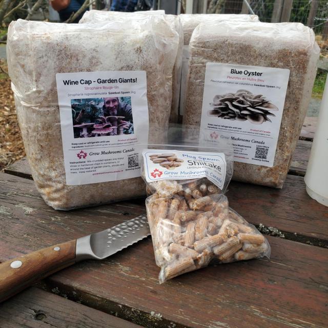 Three clear plastic bags of mushroom spawn on a wooden surface, labeled "Blue Oyster", "Wine Cap - Garden Giants", and "Shiitake", along with a knife.