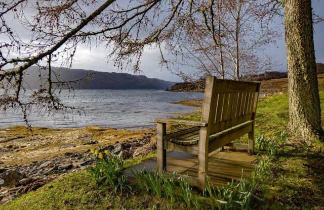 Bench and dafs by the sea.