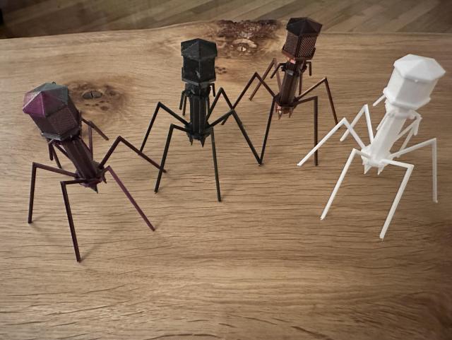4 bacteriophage: purple, black, bronze and white sit on a wooden table. You can see the detail of the 3D print (lines across flat faces) when looking closely. Bacteriophage look like water cooler towers on legs.