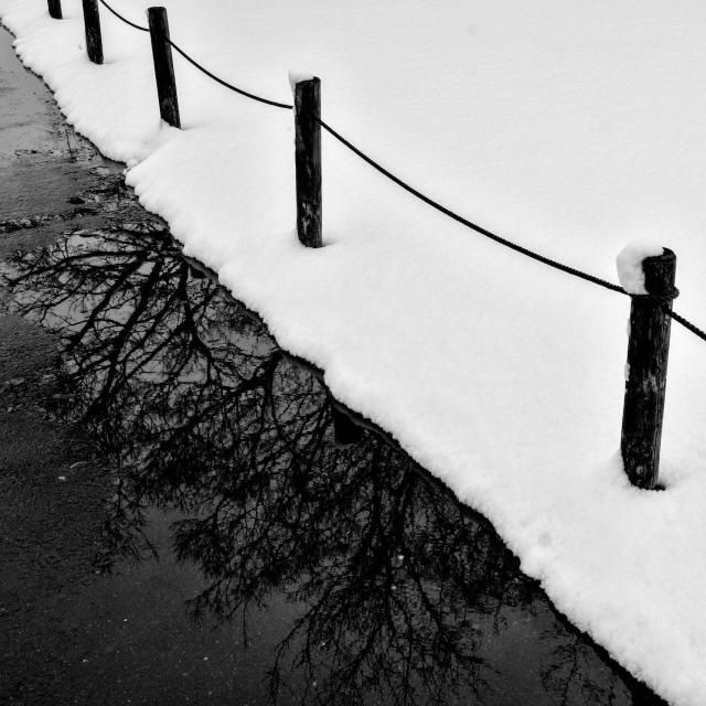 Graphically spare, diagonal lines run from top left to bottom right of this square framed shot. The top half of the image is a blanket of snow, the lower half a tarmac path. The two parts are separated by a row of five non-descript posts supporting a single rope. Snow caps the tops of the posts. A puddle seeps out from the uneven edge of the snow. On its mirror-like surfaces is the clear reflection of the upper branches of a row of trees.